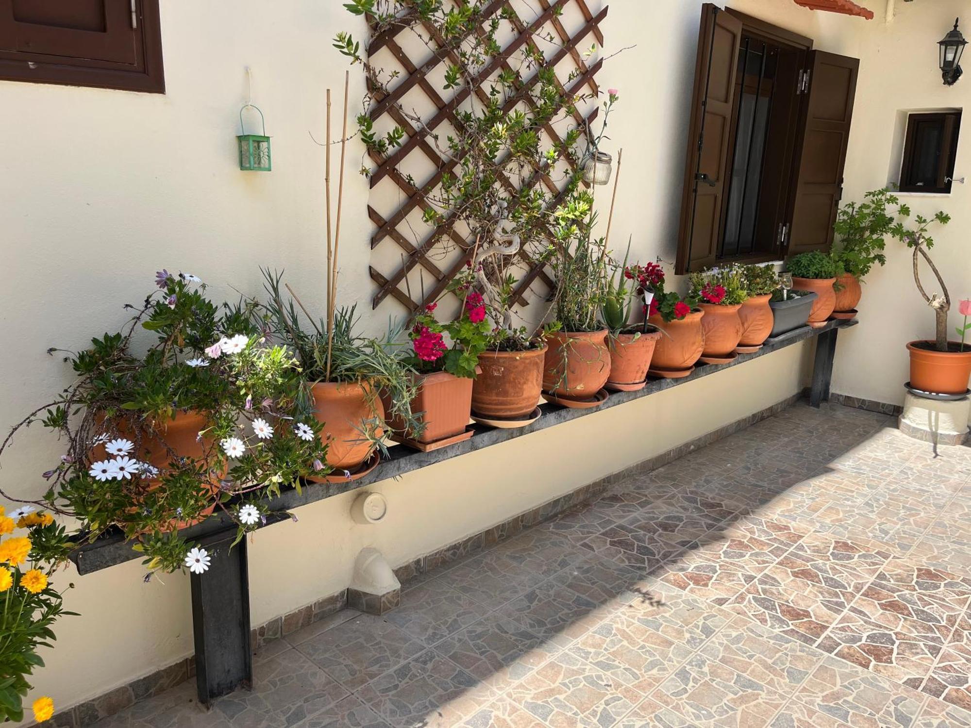 Eleni Rooms Rhodes City Exterior foto